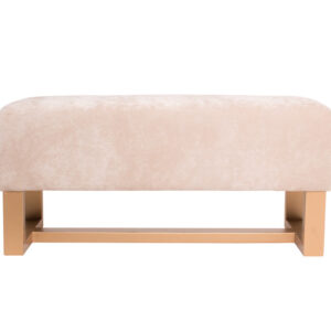 Banca Moderna Kontempo Plimy